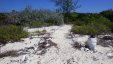 Cambridge Cay Exuma Sea Park