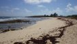 Cambridge Cay Exuma Sea Park