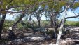 Cambridge Cay Exuma Sea Park