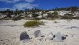 Staniel Cay Black Point Areas Exumas